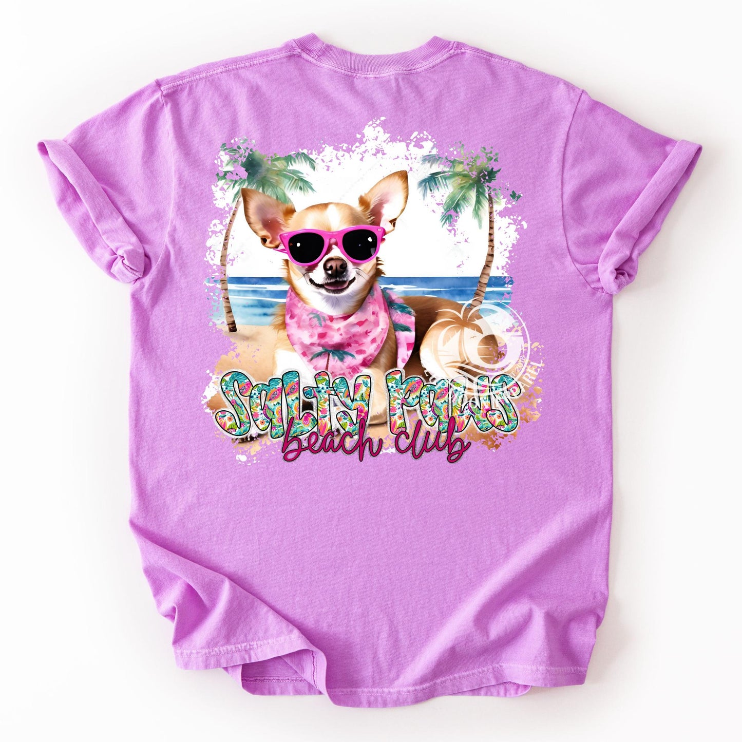 Chihuahua Lover Beach Dog Salty Paws Social Club Women's Tee
